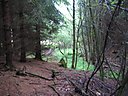 IMG_1232